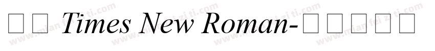 字形 Times New Roman字体转换